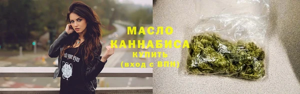 гашик Козловка