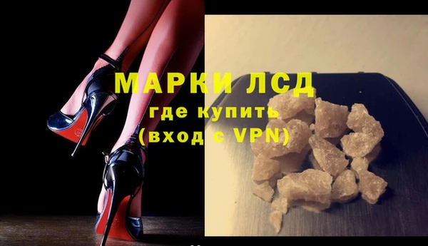 гашик Козловка