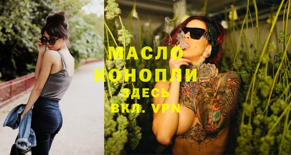 мдпв Краснослободск
