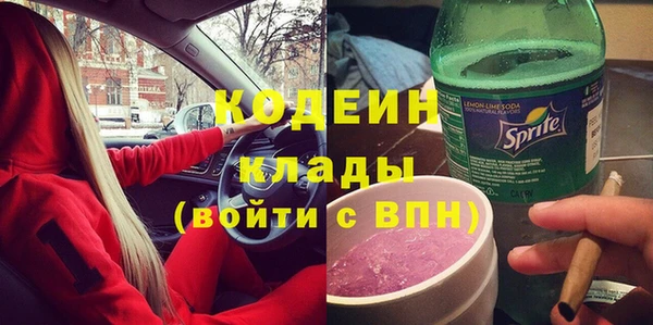 гашик Козловка