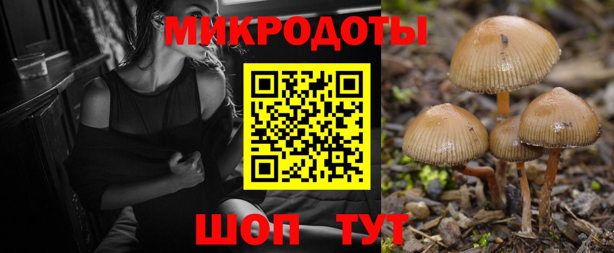 Красноперекопск  Галлюциногенные грибы ЛСД  Вход с VPN 